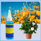 Speciális tápoldat cserepes növényekhez