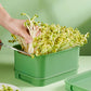 🔥Buy 3 Get 1 Free🔥Stackable Bean Sprout Growing Box