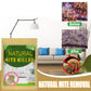 ⏳LAST DAY SALE ONLY￡6.99!!🌿🛡️ The UK’s #1 Natural Mite Defence Sachet – Vetted by Allergy UK • 100% Chemical-Free • Safe for Babies, Pets & Asthma Sufferers 🇬🇧🛏️✨